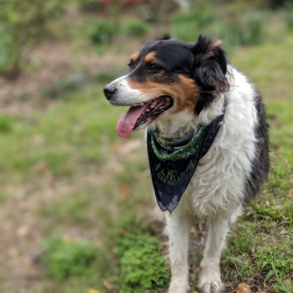 Meet your Posher, Aimee